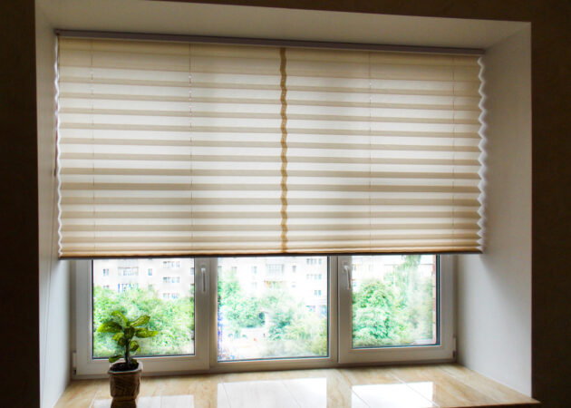 Honeycomb Blinds