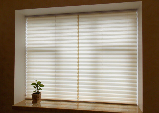 Honeycomb Blinds